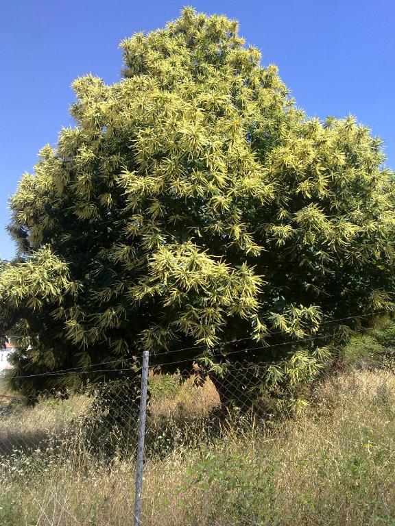 Pension Barrio Fuenteheridos Kültér fotó